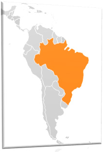 projects in brasil